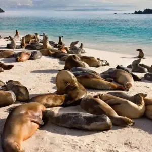 Explore Galapagos - Central & West Islands aboard the Solaris for 9 days with Explore! and discover unforgettable experiences - Photo 5