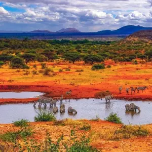 Explore Highlights of Kenya & Tsavo Extension for 12 days with Explore! and discover unforgettable experiences - Photo 10