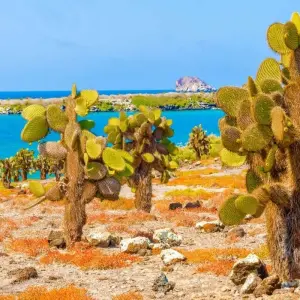 Explore Galapagos - Central & West Islands aboard the Solaris for 9 days with Explore! and discover unforgettable experiences - Photo 8