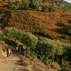 Explore Walking Albania's Coastal Trails for 8 days with Explore! and discover unforgettable experiences - Photo 8