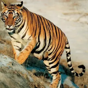 Explore Delhi to Kathmandu for 17 days with Explore! and discover unforgettable experiences - Photo 11
