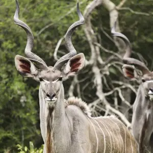 Explore Family South Africa Safari and Beach Adventure for 13 days with Explore! and discover unforgettable experiences - Photo 4