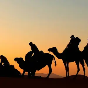 Explore Best of Morocco for 15 days with Explore! and discover unforgettable experiences - Photo 3