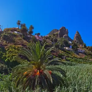 Explore Canary Islands Walking - La Gomera and Tenerife for 8 days with Explore! and discover unforgettable experiences - Photo 8