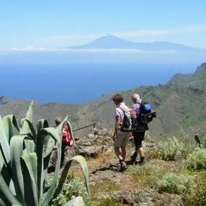 Explore Canary Islands Walking - La Gomera and Tenerife for 8 days with Explore! and discover unforgettable experiences - Photo 9