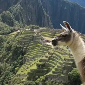 Explore Classic Peru for 14 days with Explore! and discover unforgettable experiences - Photo 11