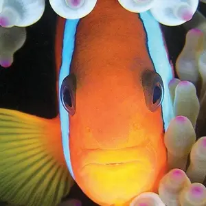 Explore Thai Island Hopping for 14 days with Explore! and discover unforgettable experiences - Photo 9