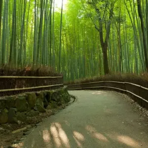 Explore Simply Japan for 14 days with Explore! and discover unforgettable experiences - Photo 3