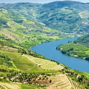 Explore Cycling Portugal - Porto to Lisbon for 8 days with Explore! and discover unforgettable experiences - Photo 8