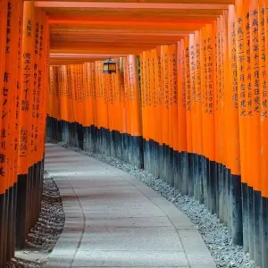 Explore Simply Japan for 14 days with Explore! and discover unforgettable experiences - Photo 9