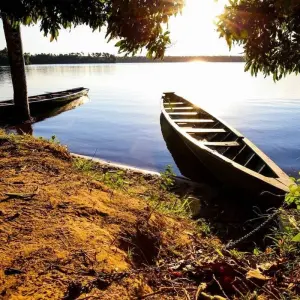 Explore Peru Amazon Extension (Comfortable) for 4 days with Explore! and discover unforgettable experiences - Photo 3