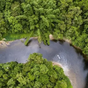 Explore Peru Amazon Extension (Comfortable) for 4 days with Explore! and discover unforgettable experiences - Photo 4