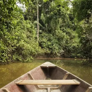 Explore Peru Amazon Extension (Comfortable) for 4 days with Explore! and discover unforgettable experiences - Photo 5