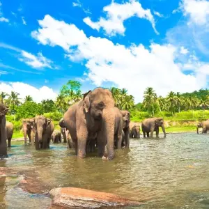 Explore Active Sri Lanka for 14 days with Explore! and discover unforgettable experiences - Photo 6