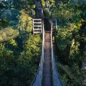 Explore Peru Amazon Extension (Comfortable) for 4 days with Explore! and discover unforgettable experiences - Photo 7