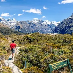 Explore Walking in New Zealand for 19 days with Explore! and discover unforgettable experiences - Photo 4