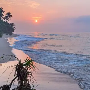Explore Active Sri Lanka for 14 days with Explore! and discover unforgettable experiences - Photo 9