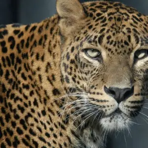 Explore Active Sri Lanka for 14 days with Explore! and discover unforgettable experiences - Photo 10