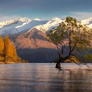 Explore Walking in New Zealand for 19 days with Explore! and discover unforgettable experiences - Photo 7