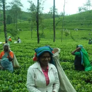 Explore Active Sri Lanka for 14 days with Explore! and discover unforgettable experiences - Photo 11