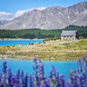 Explore Walking in New Zealand for 19 days with Explore! and discover unforgettable experiences - Photo 8