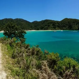 Explore Walking in New Zealand for 19 days with Explore! and discover unforgettable experiences - Photo 9