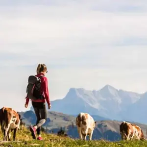 Explore Kitzbühel Alps Walk, Short Route, Half Board for 5 days with Feuer und Eis Touristik and discover unforgettable experiences - Photo 4