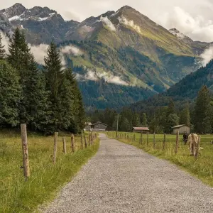 Explore Lake Constance-Königssee Cycle Route With Luggage Transfer for 11 days with Feuer und Eis Touristik and discover unforgettable experiences - Photo 6