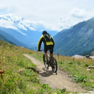 Explore Lake Constance-Königssee Cycle Route With Luggage Transfer for 11 days with Feuer und Eis Touristik and discover unforgettable experiences - Photo 8