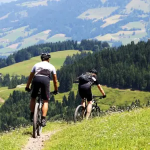 Explore Lake Constance-Königssee Cycle Route With Luggage Transfer for 11 days with Feuer und Eis Touristik and discover unforgettable experiences - Photo 10