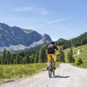 Explore Lake Constance-Königssee Cycle Route With Luggage Transfer for 8 days with Feuer und Eis Touristik and discover unforgettable experiences - Photo 10