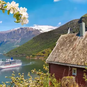 Explore Best of Norway Private Tour for 9 days with Firebird Tours and discover unforgettable experiences - Photo 4
