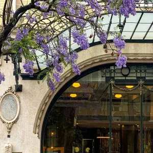 Explore Highlights of Portugal Private Tour for 10 days with Firebird Tours and discover unforgettable experiences - Photo 4