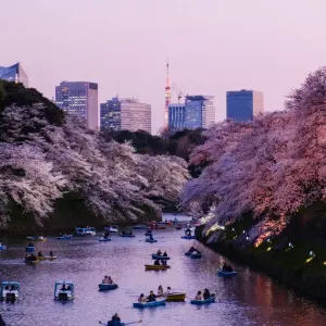 Explore Imperial Capitals of Japan Small Group Tour for 7 days with Firebird Tours and discover unforgettable experiences - Photo 4