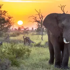 Explore Highlights of South Africa Private Tour for 7 days with Firebird Tours and discover unforgettable experiences - Photo 3