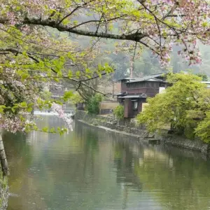 Explore Imperial Capitals of Japan Small Group Tour for 7 days with Firebird Tours and discover unforgettable experiences - Photo 9