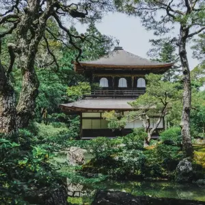 Explore Imperial Capitals of Japan Small Group Tour for 7 days with Firebird Tours and discover unforgettable experiences - Photo 10