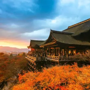 Explore Imperial Capitals of Japan Small Group Tour for 7 days with Firebird Tours and discover unforgettable experiences - Photo 11