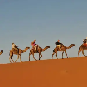 Explore Highlights of Morocco Private Tour for 9 days with Firebird Tours and discover unforgettable experiences - Photo 9