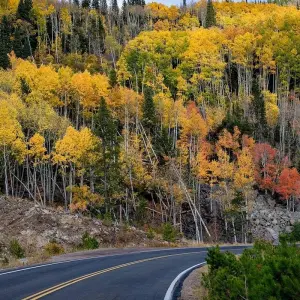 Explore Estes Park - 5 Day Hightlights Tour of Rocky Mountain National Park for 5 days with FlashpackerConnect and discover unforgettable experiences - Photo 3