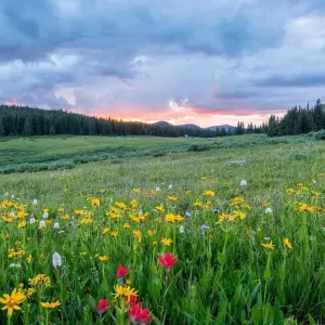 Explore Estes Park - 5 Day Hightlights Tour of Rocky Mountain National Park for 5 days with FlashpackerConnect and discover unforgettable experiences - Photo 7