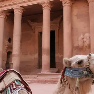 Explore Classical Jordan for 8 days with Flo Tours and discover unforgettable experiences - Photo 3