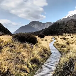 Explore Grand Traverse from Auckland - Top rated by National Geographic for 16 days with Flying Kiwi and discover unforgettable experiences - Photo 6