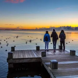 Explore Northern Light from Auckland - Top rated by National Geographic for 7 days with Flying Kiwi and discover unforgettable experiences - Photo 4