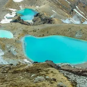 Explore Northern Light from Auckland - Top rated by National Geographic for 7 days with Flying Kiwi and discover unforgettable experiences - Photo 9