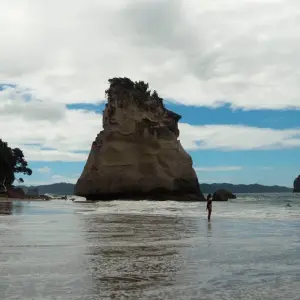 Explore Northern Light from Auckland - Top rated by National Geographic for 7 days with Flying Kiwi and discover unforgettable experiences - Photo 10