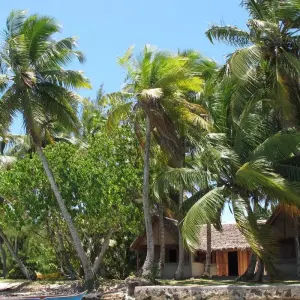 Explore 11 Days East of Madagascar Tour for 11 days with Fosa Travel and discover unforgettable experiences - Photo 2
