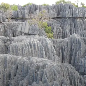Explore Discover the Unique in Madagascar - Lemurs, Baobabs, Tsingy for 14 days with Fosa Travel and discover unforgettable experiences - Photo 10