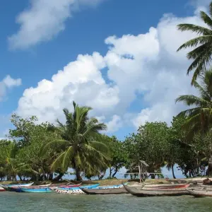 Explore 11 Days East of Madagascar Tour for 11 days with Fosa Travel and discover unforgettable experiences - Photo 11