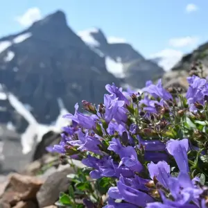 Explore 12 Day Rockies Hiking and Camping Tour for 12 days with Fresh Adventures and discover unforgettable experiences - Photo 2